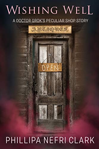 Wishing Well book cover