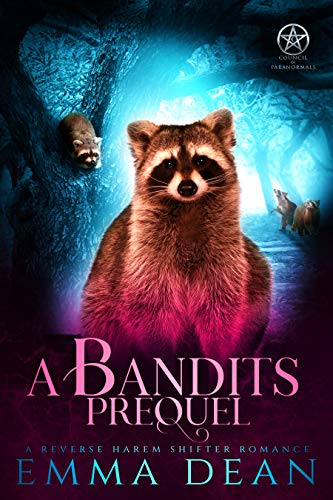 A Bandit's Prequel book cover