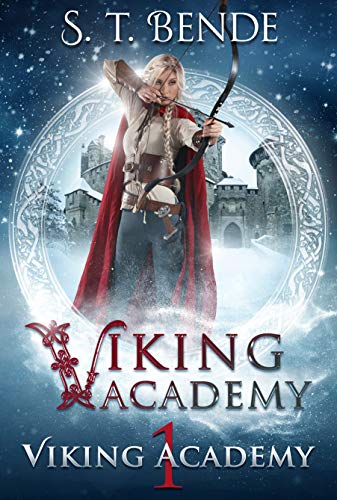 Viking Academy book cover