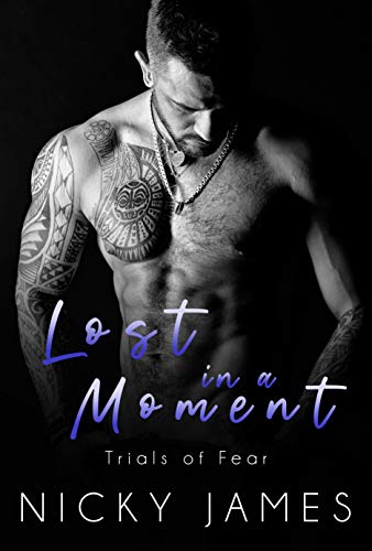 Lost in a Moment book cover