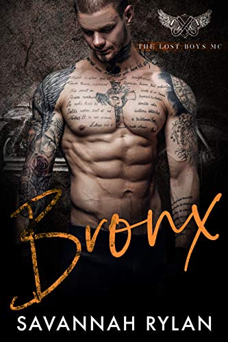 Bronx book cover