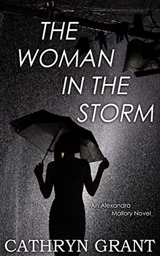 The Woman In the Storm cover