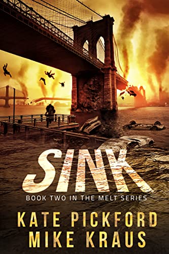 Sink book cover