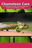Chameleon Care The Complete Guide To Caring For And Keeping Chameleons As Pets English Edition