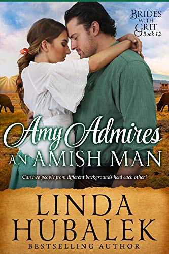 Amy Admires an Amish Man book cover