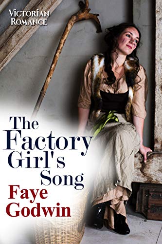 The Factory Girl's Song book cover