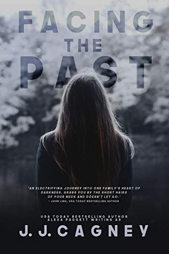 Facing the Past book cover