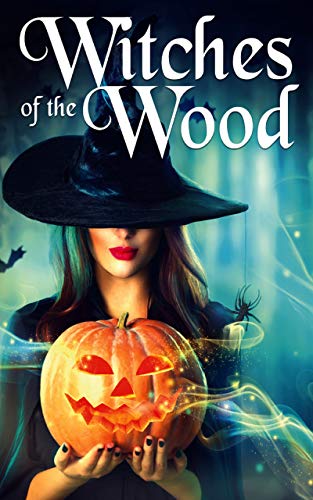 Witches of The Wood (By: Skylar Finn) cover