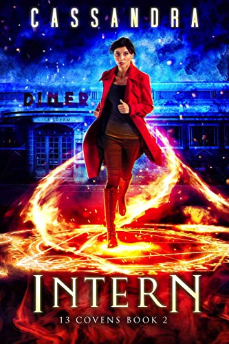 Intern book cover