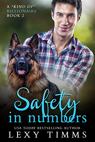 Safety in Numbers book cover