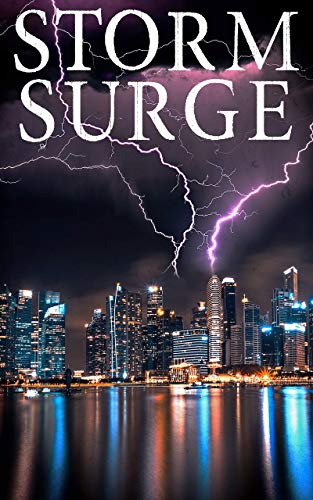 Storm Surge (By: J.S. Donovan) cover