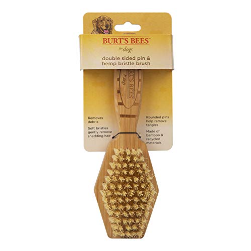 best brushes for shih tzu puppy photo 6","source":"library