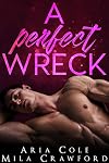 A Perfect Wreck