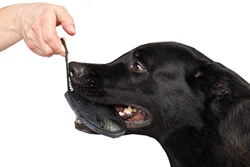 DINGO GEAR Dog Bite Tug Toy Hand Sewn Black Grain Leather Strong Polypropylene Handle for Training K9 IGP Agility Play - 12 x 10 cm, Black Espresso (S00229)