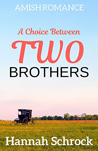 A Choice Between Two Brothers book cover