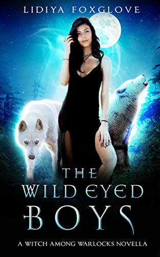 The Wild-Eyed Boys book cover