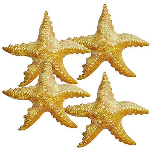 Jet Creations Inflatable Aquatic Animal Starfish, Pack of 4, 20 inch Height, Pool Toys, Photo Prop, Theme Party Centerpiece, VBS, Decoration, Hanger (1) per Starfish