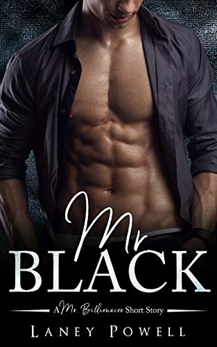 Mr. Black book cover