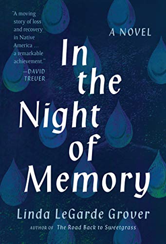 In the Night of Memory book cover