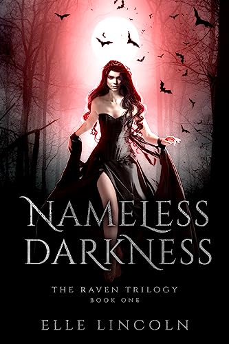 Nameless Darkness book cover