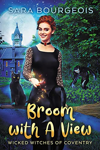 Broom with a View cover