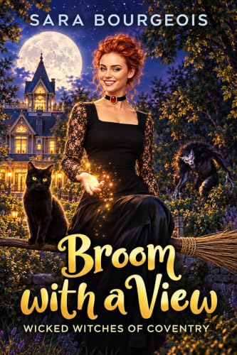 Broom with a View book cover