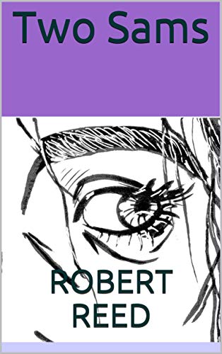 Two Sams book cover