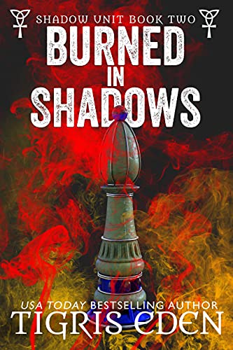 Burned In Shadows book cover