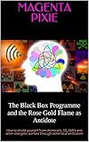 The Black Box Programme And The Rose Gold Flame As Antidote How To Shield Yourself From Chemtrails 5g Emfs And Other Energetic Warfare Through Alchemical Unification English Edition