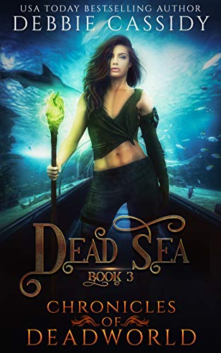 Dead Sea book cover