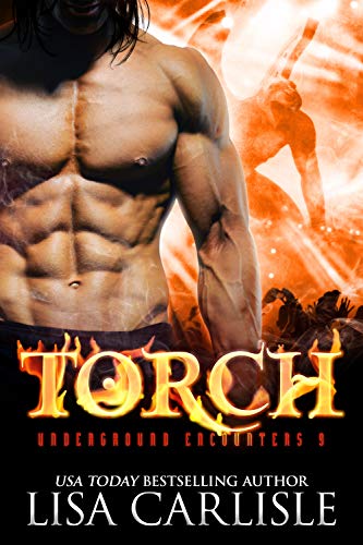Torch cover