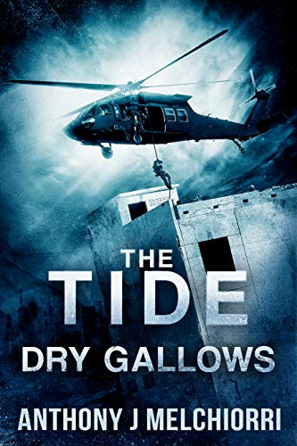 Dry Gallows book cover