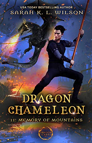 Memory of Mountains book cover
