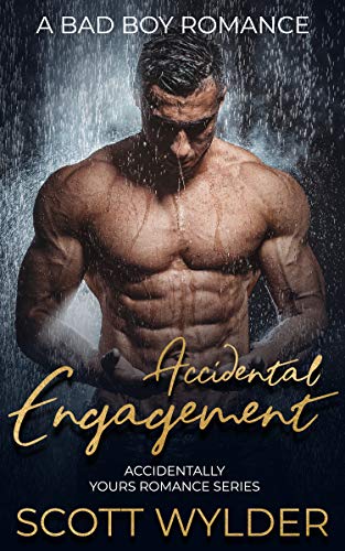 Accidental Engagement book cover