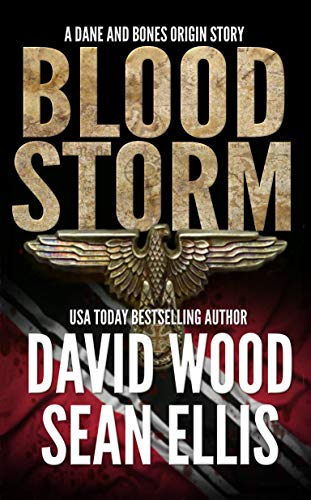 Bloodstorm book cover