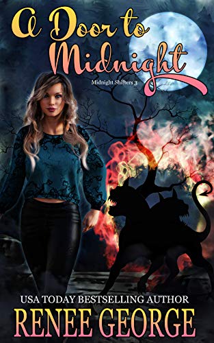 A Door To Midnight book cover