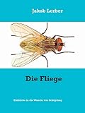 Die Fliege Einblicke In Die Wunder Der Schpfung German Edition