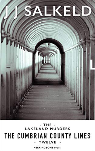 The Cumbrian County Lines book cover