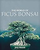 The World Of Ficus Bonsai English Edition