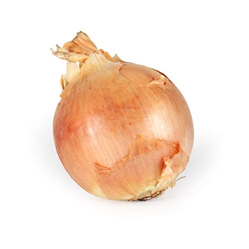 Onion Yellow Conventional, 1 Each
