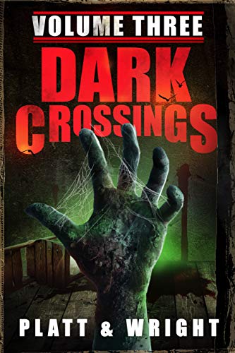 Dark Crossings: Volume 3 (With: David W. Wright) cover