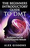 The Beginners Introductory Guide To Dmt Psychedelics And The Dimethyltryptamine Molecule Psychedelic Curiosity Book 2 English Edition