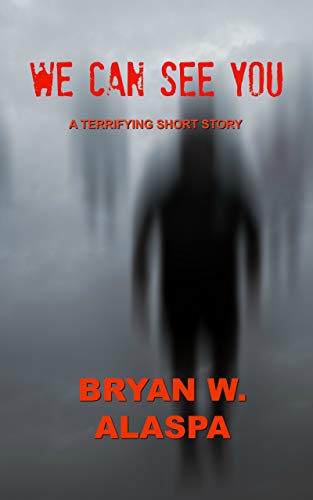 We Can See You book cover
