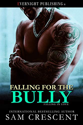 Falling for the Bully cover