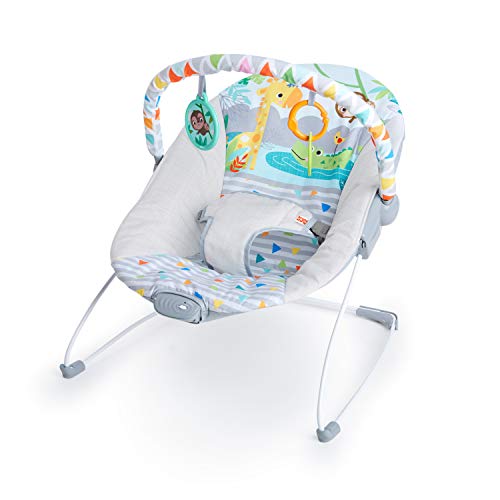 Bright Starts Baby Bouncer Soothing Vibrations Infant Seat - Removable -Toy Bar, Nonslip Feet, 0-6 Months Up to 20 lbs (