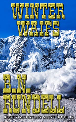 Winter Waifs book cover