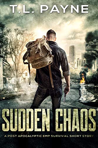 Sudden Chaos cover
