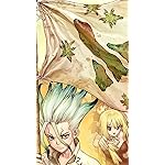 Dr.STONE HD(720×1280)壁紙 石神 千空(いしがみ せんくう),ルリ Dr.STONE HD(720×1280)壁紙 石神 千空(いしがみ せんくう),ルリ