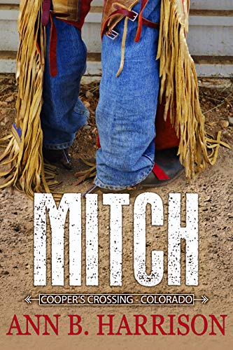Mitch book cover