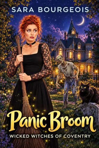 Panic Broom book cover